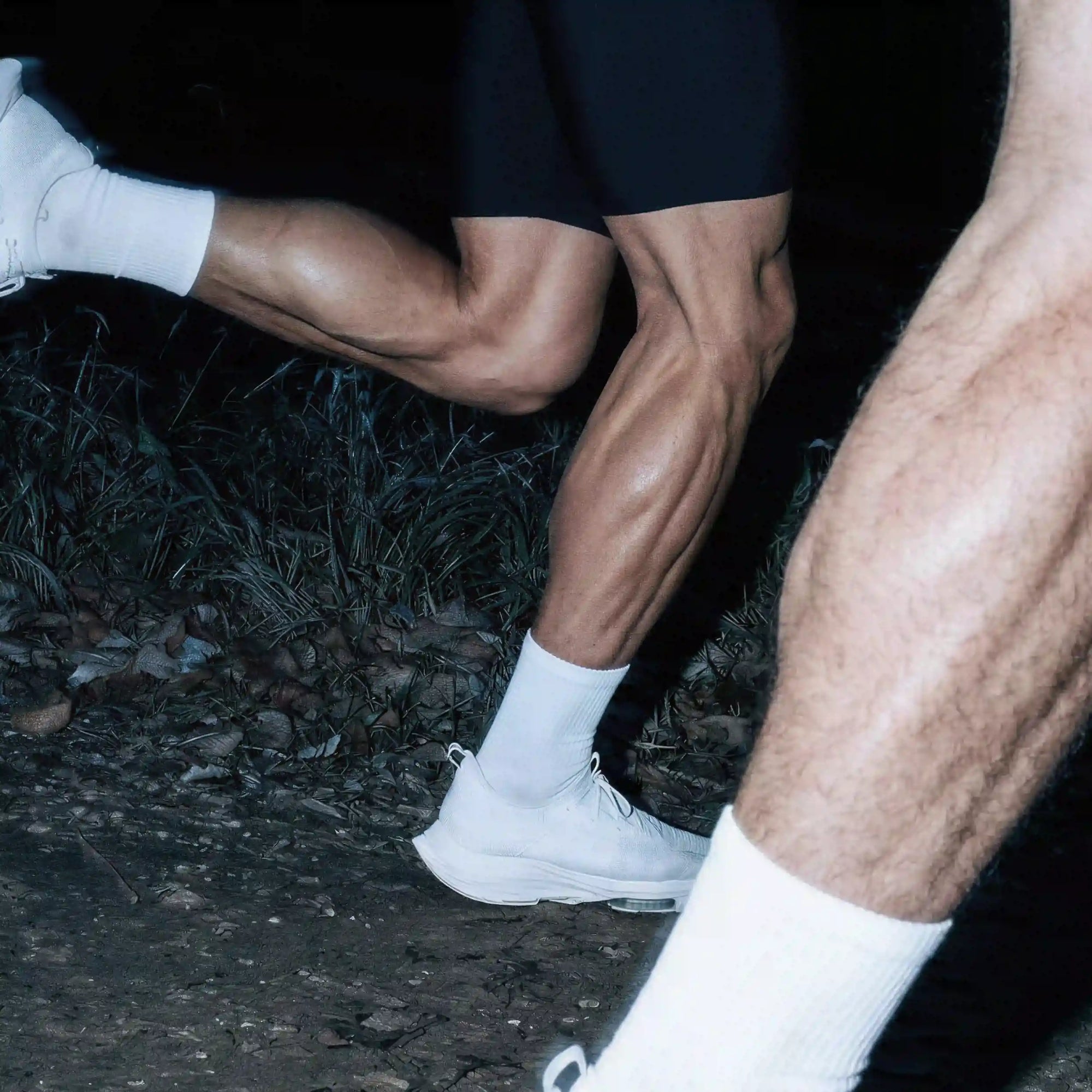 Creatine Beyond Muscle: Brain, Aging, and Daily Health