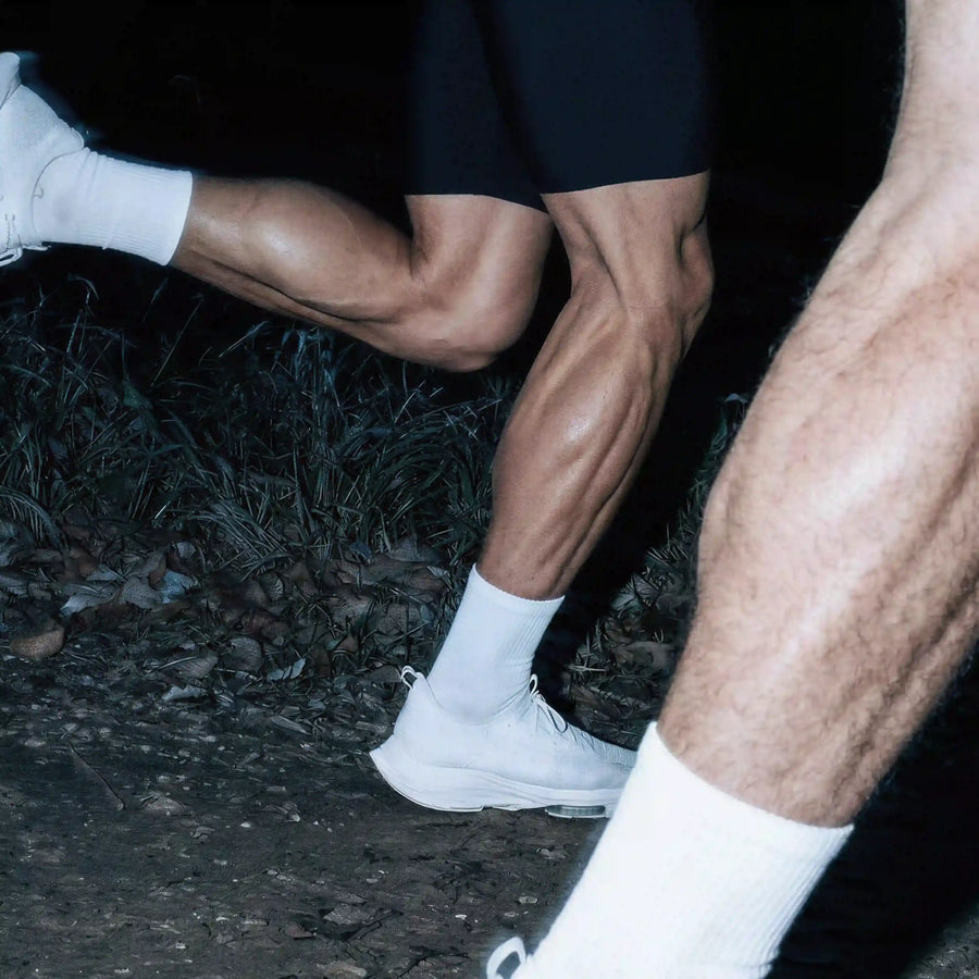 Creatine Beyond Muscle: Brain, Aging, and Daily Health